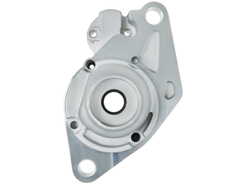 Starter motor brush holder ring