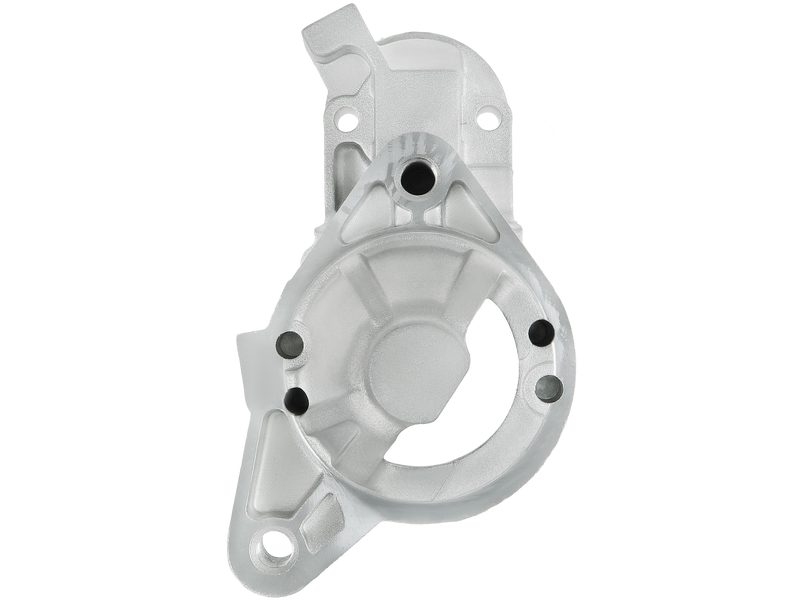 Starter motor brush holder ring