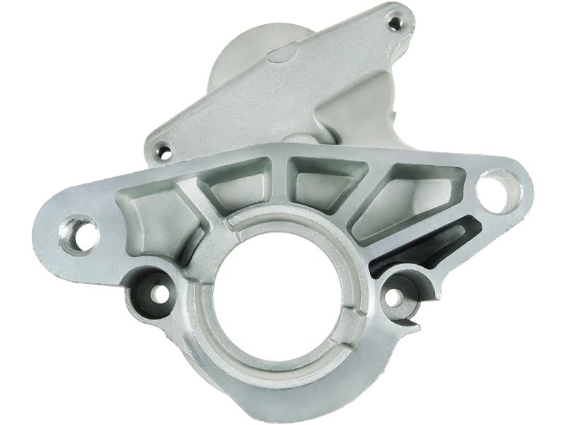 Starter motor brush holder ring