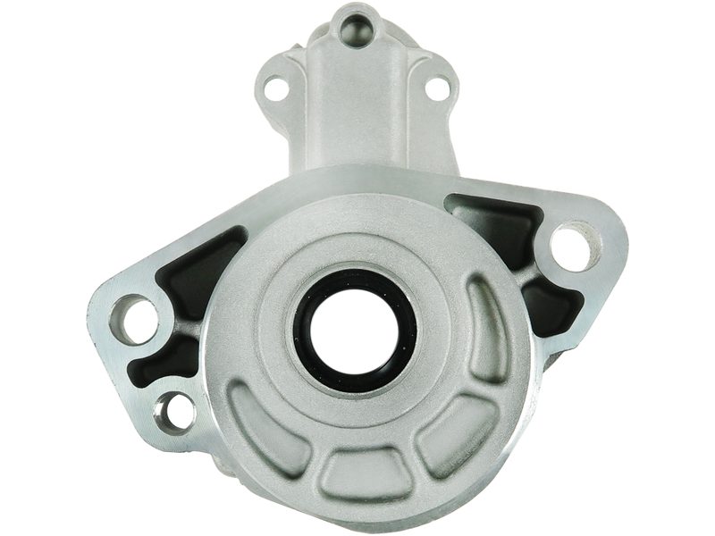 Starter motor brush holder ring