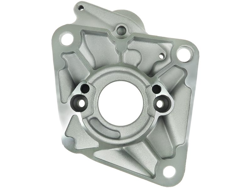 Starter motor brush holder ring