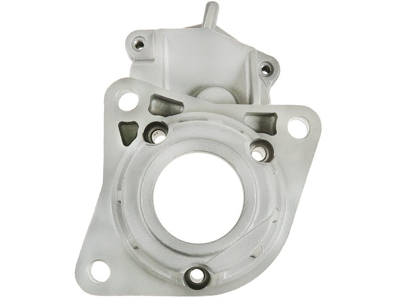 Starter motor brush holder ring