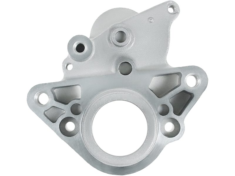 Starter motor brush holder ring
