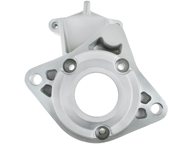 Starter motor brush holder ring