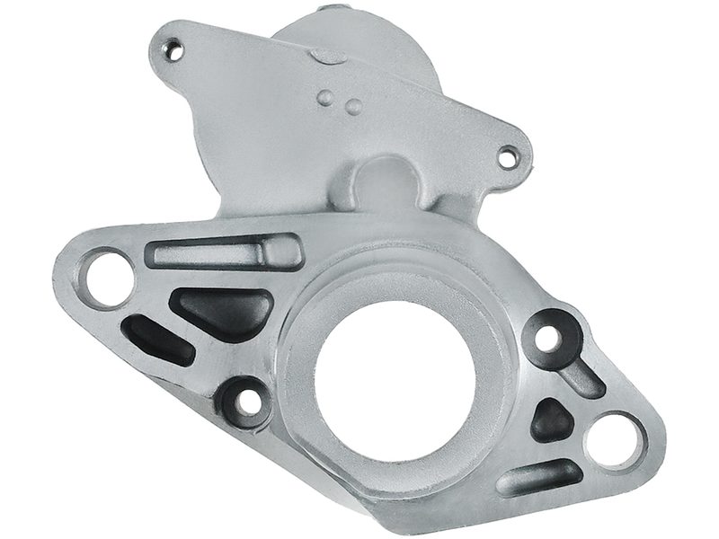 Starter motor brush holder ring