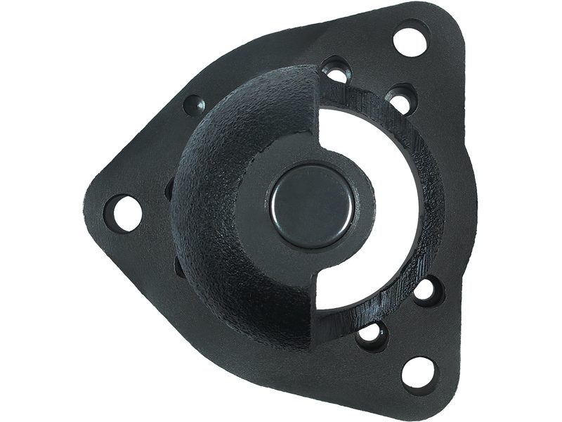 Starter motor brush holder ring
