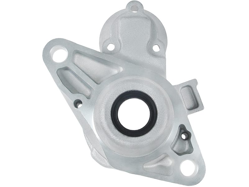 Starter motor brush holder ring