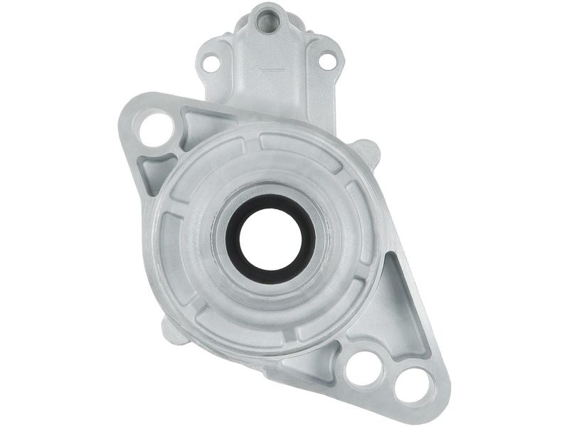 Starter motor brush holder ring