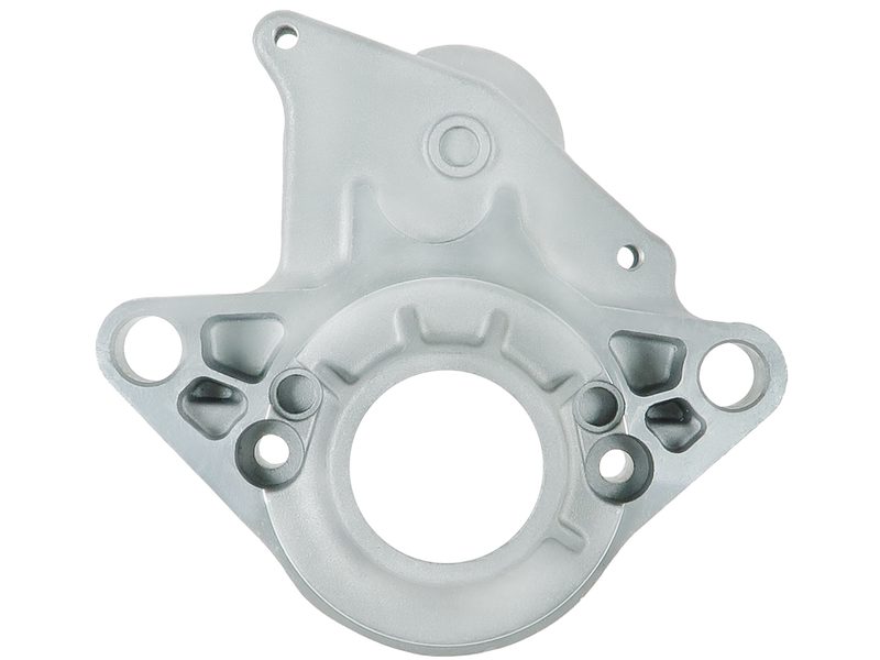 Starter motor brush holder ring