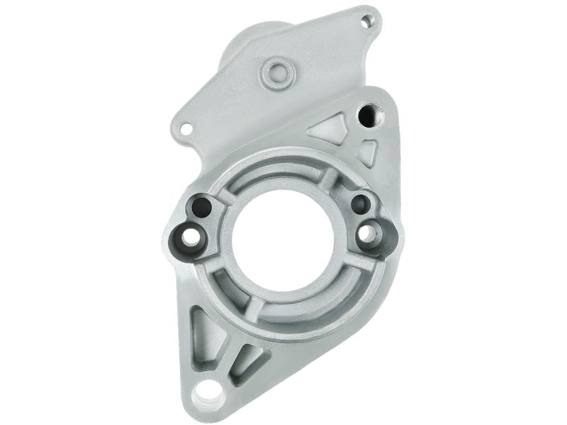 Starter motor brush holder ring