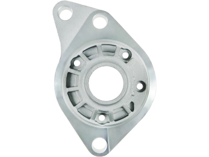 Starter motor brush holder ring
