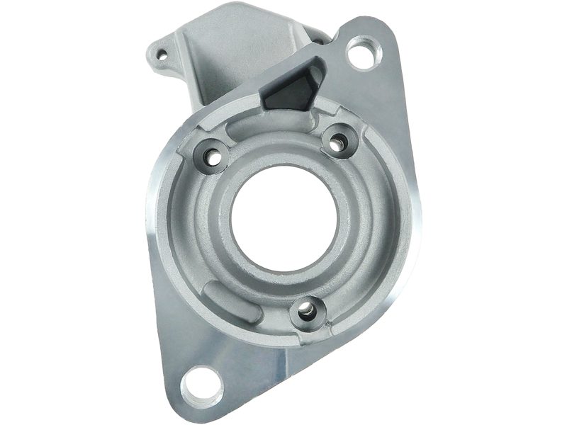 Starter motor brush holder ring