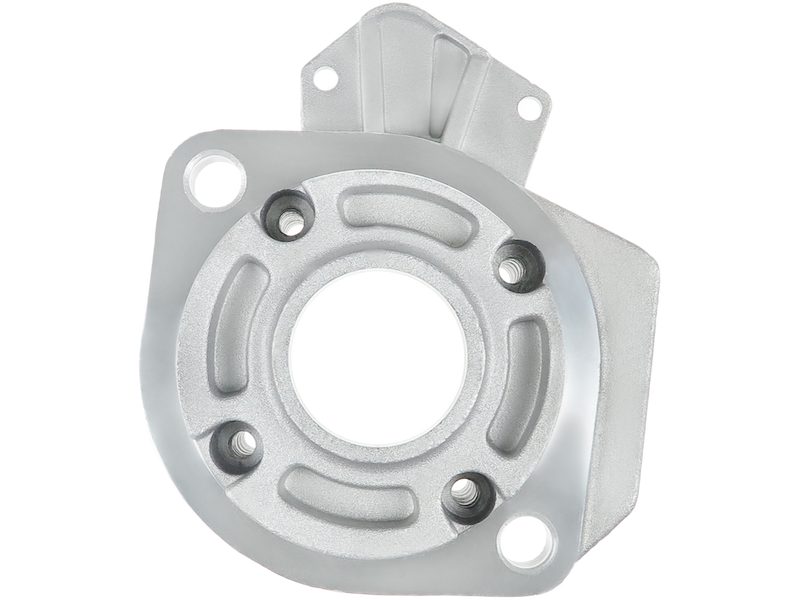 Starter motor brush holder ring