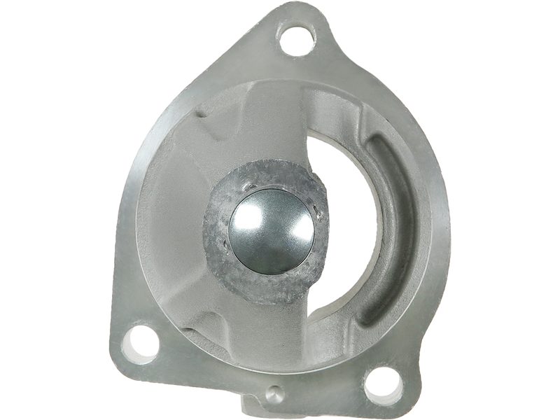 Starter motor brush holder ring