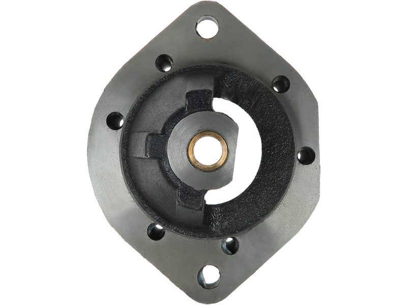 Starter motor brush holder ring
