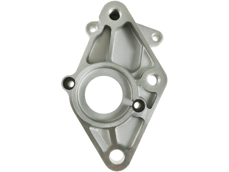 Starter motor brush holder ring