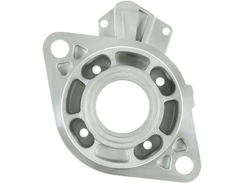 Starter motor brush holder ring