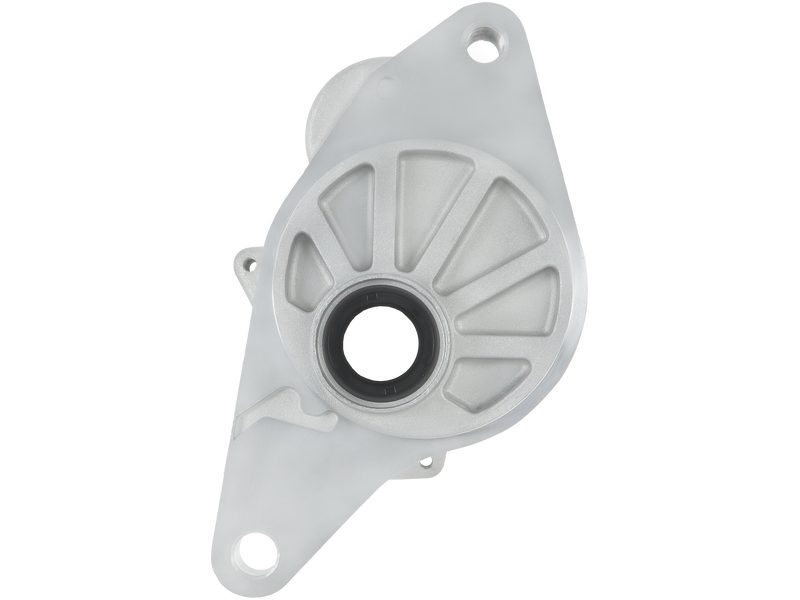 Starter motor brush holder ring