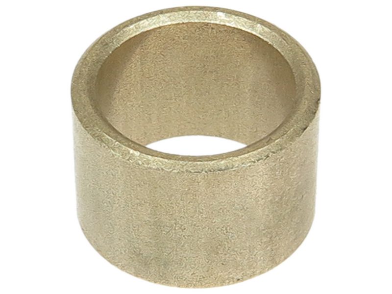 Starter motor bush