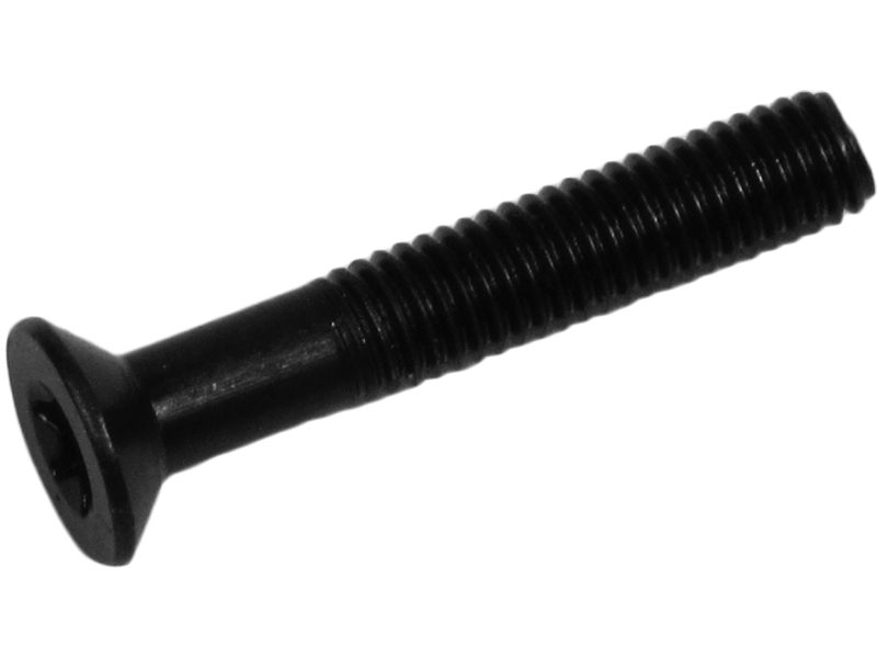 Starter motor screw