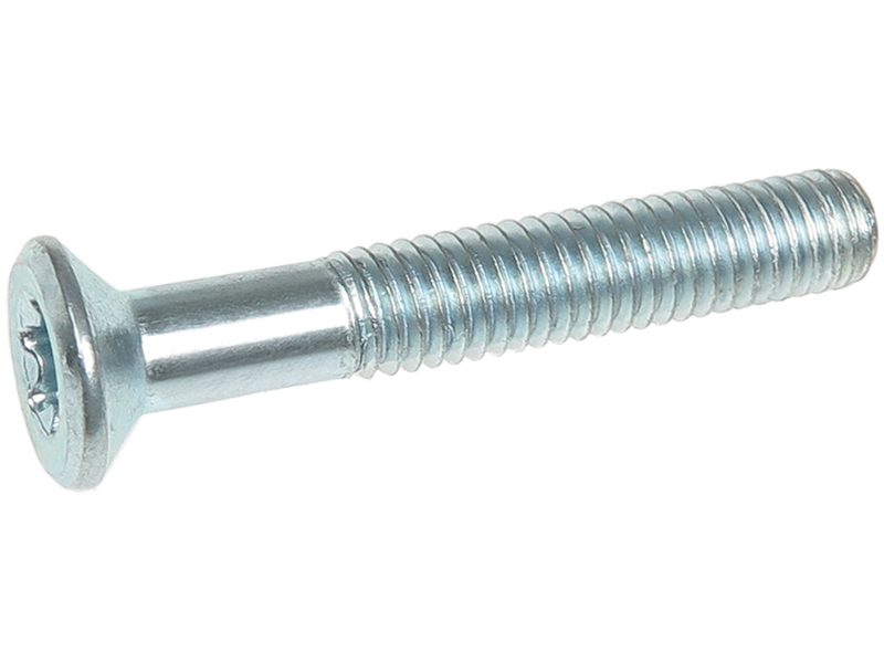Screw