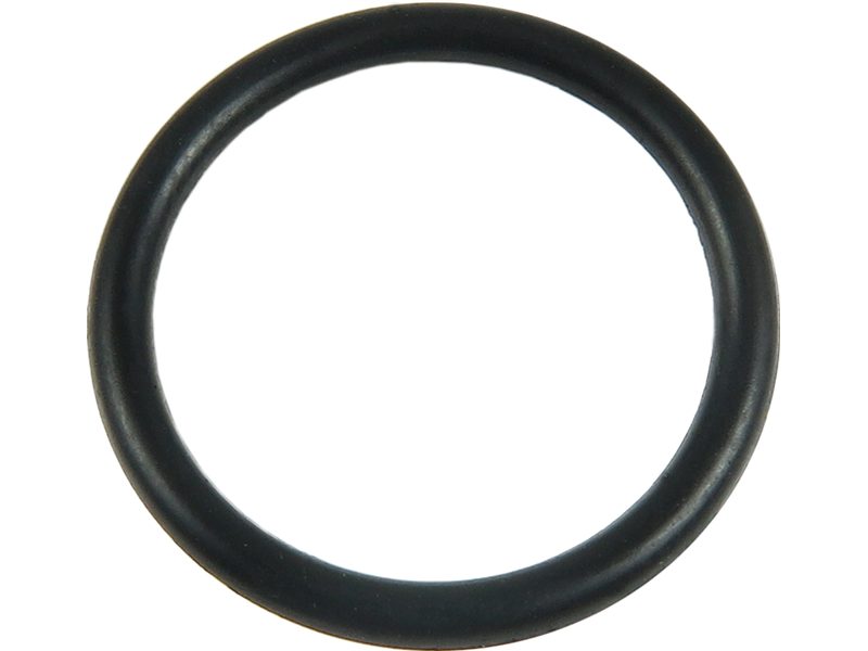 Starter motor O-ring