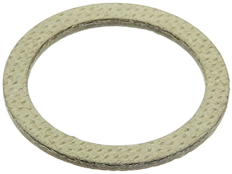 Starter motor washer