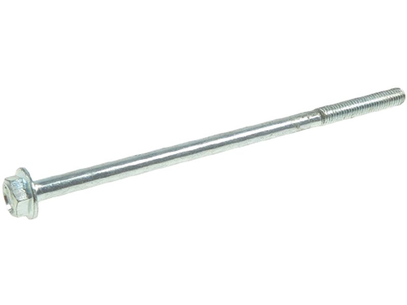 Starter motor screw