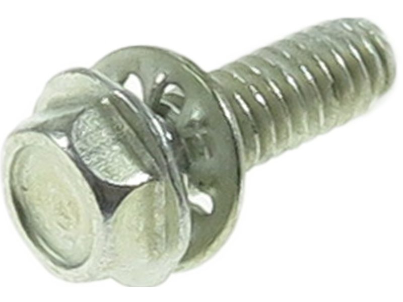Screw