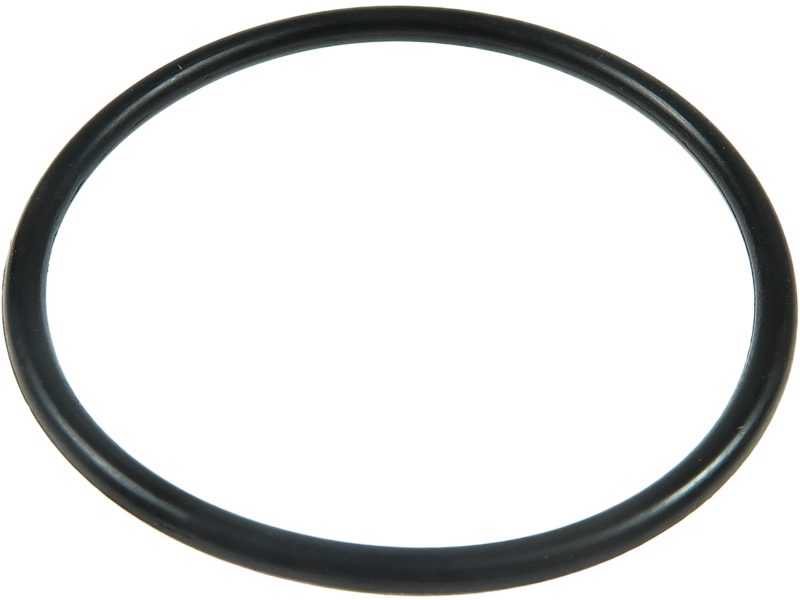 Starter motor O-ring