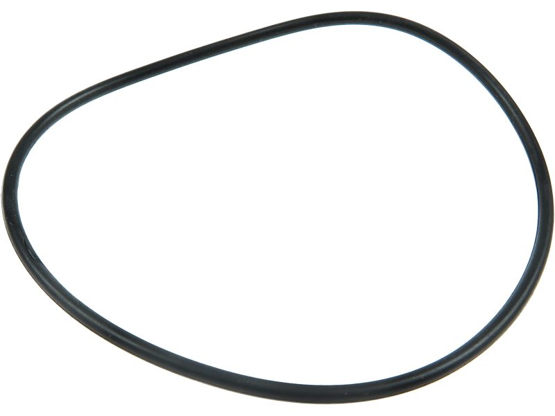 Starter motor O-ring