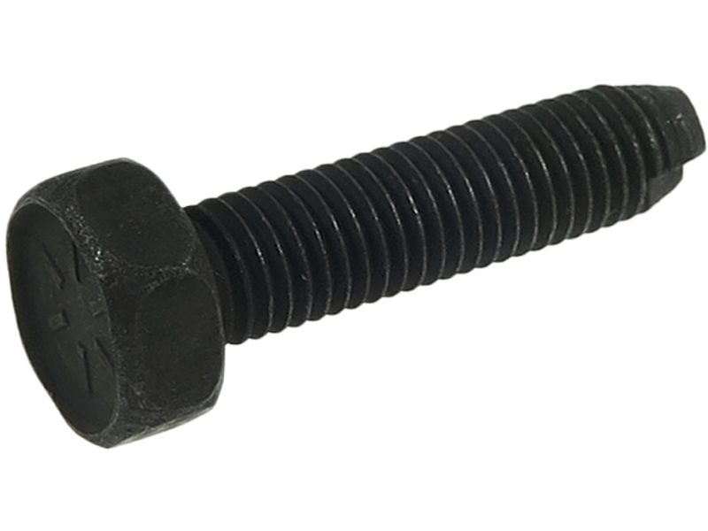 Starter motor screw