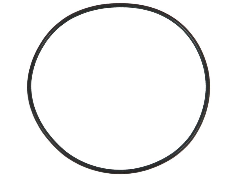 O-ring