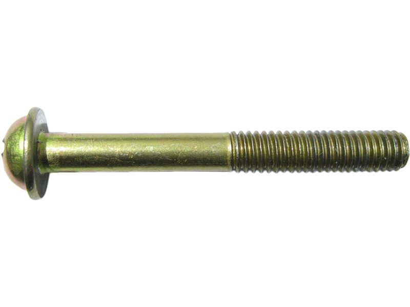 Screw
