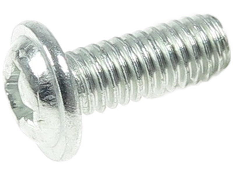 Starter motor screw