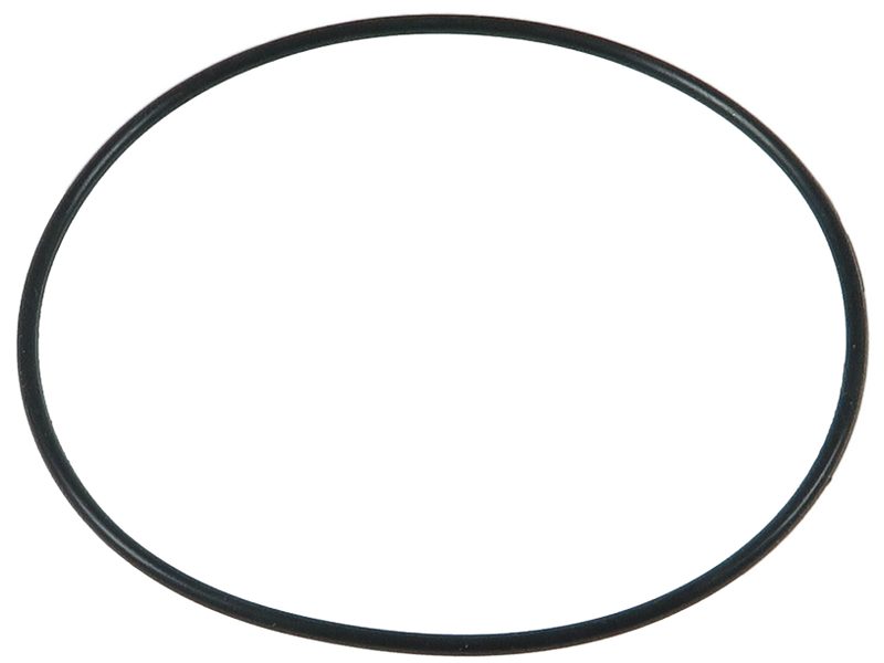 O-ring