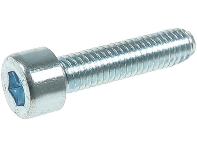 Screw