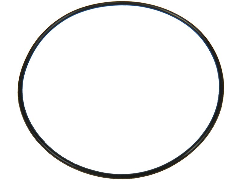 Starter motor O-ring
