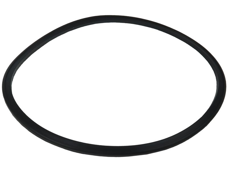 Starter motor O-ring