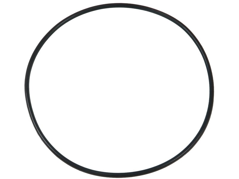Starter motor O-ring