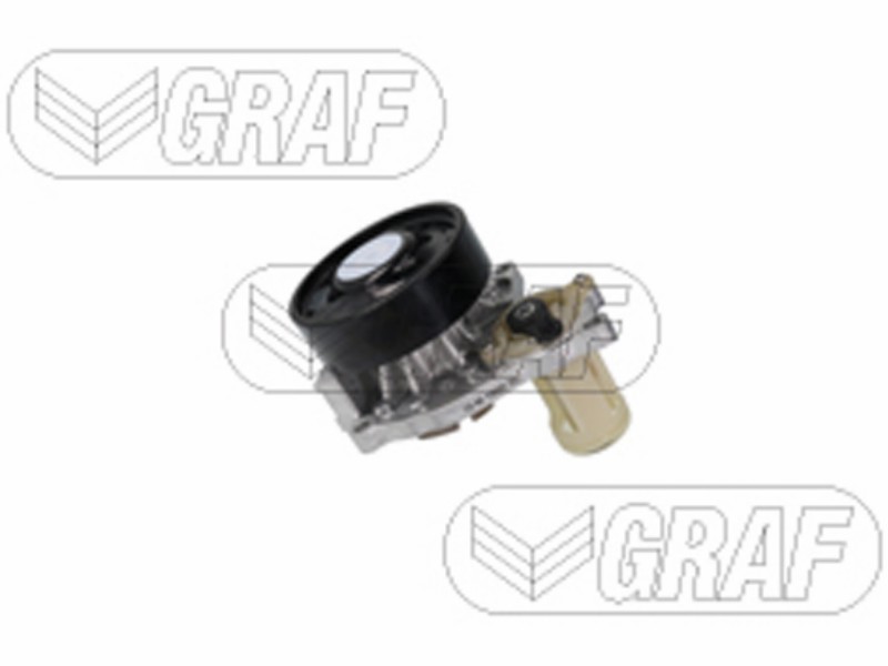 Graf pompa acqua BMW 118D
