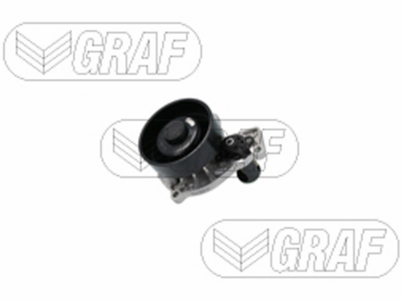 Graf pompa acqua BMW 216D