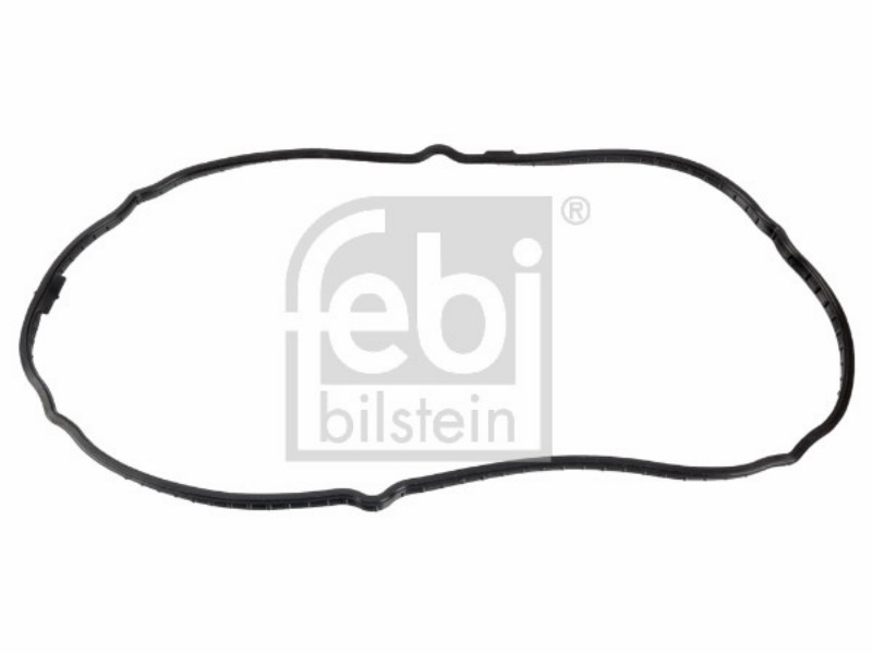 Guarnizione coperchio punterie Hyundai: santro,I10 I, Kia: picanto I