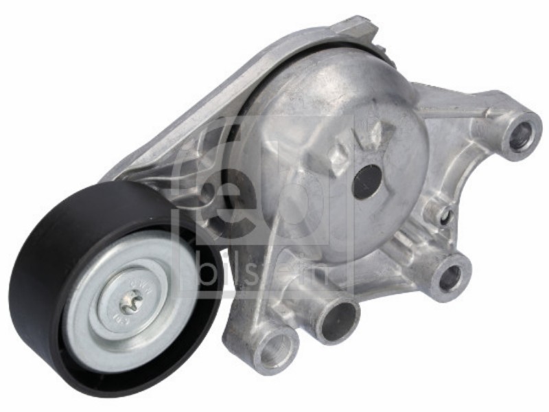 Tensionatore idraulico Citroën: berlingo II,berlingo II 4x4,berlingo II multispac