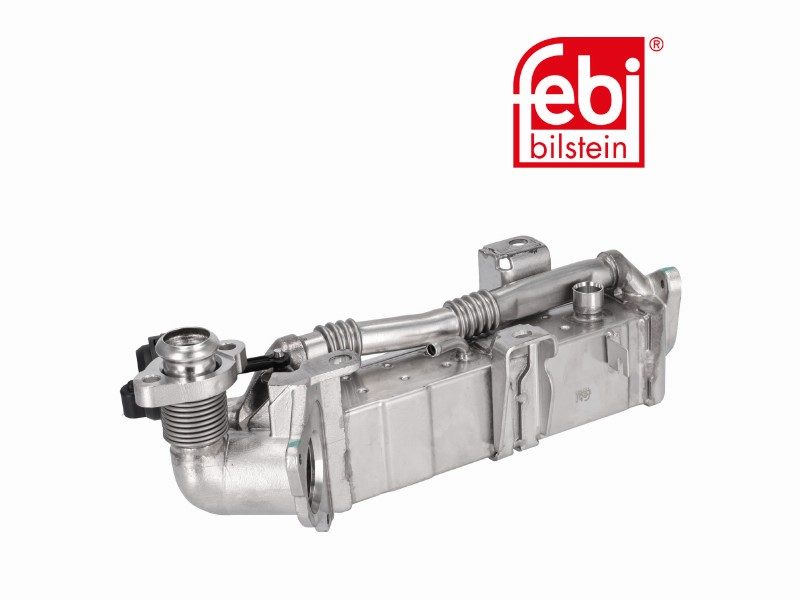 Raffreddatore valvola EGR BMW: 1 (F20 lci),1 (F20),1 (F21 lci),1 (F21),2 (F22),3