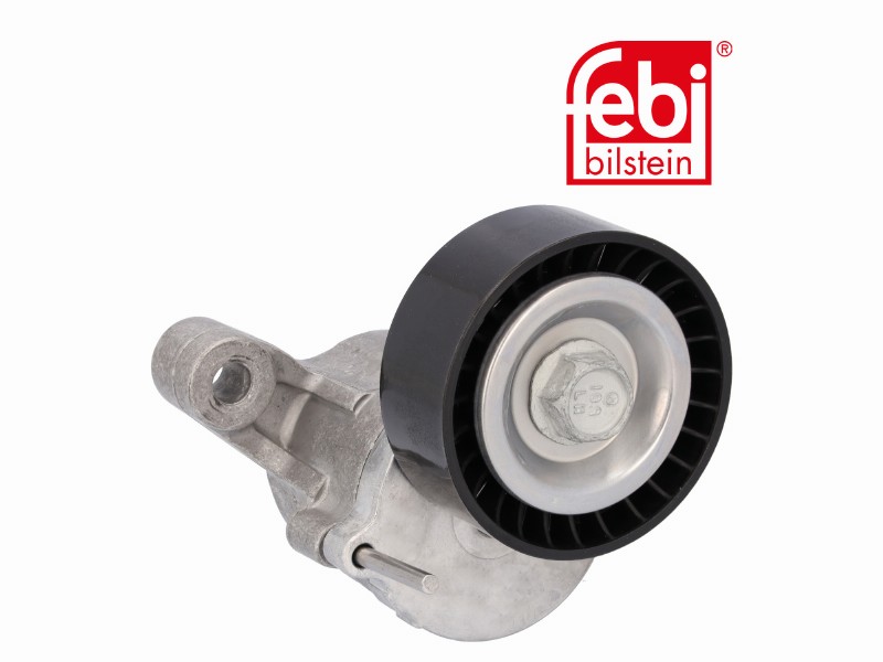 Tensionatore idraulico Audi: , Seat: Ibiza IV (6P),Ibiza IV (6P) sc,Ibiza IV (6P)