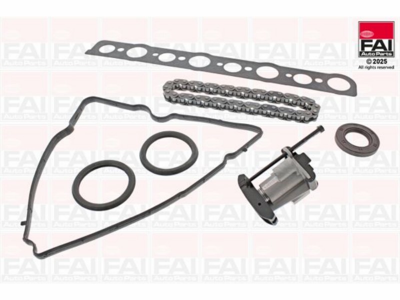 Kit catena di distribuz. psa/Ford 2.0
