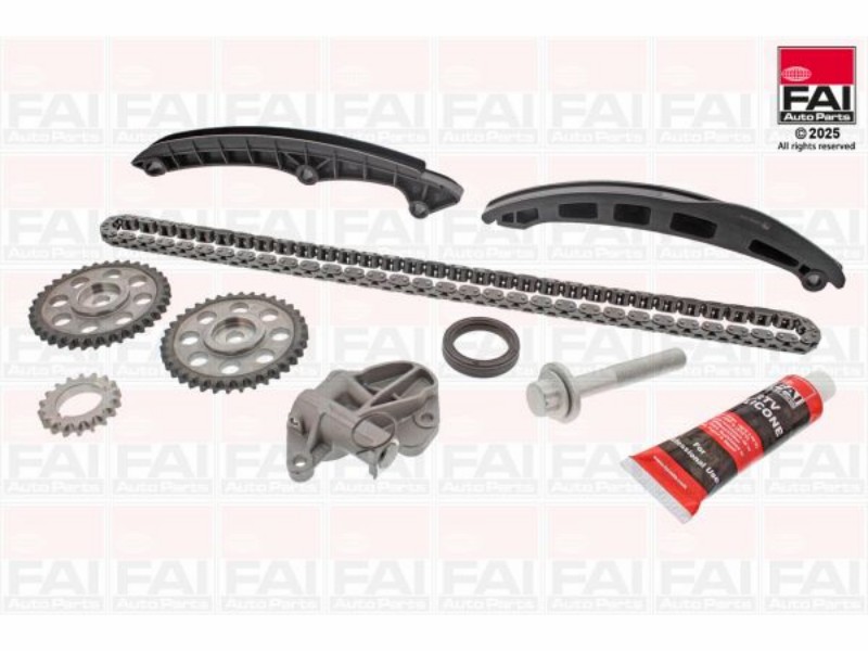 Seat cordoba (6L2) 1.2 12V 03/09-11/09