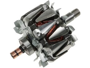 Alternator rotor