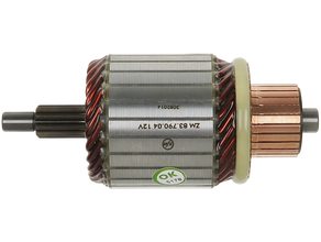 Starter motor armature
